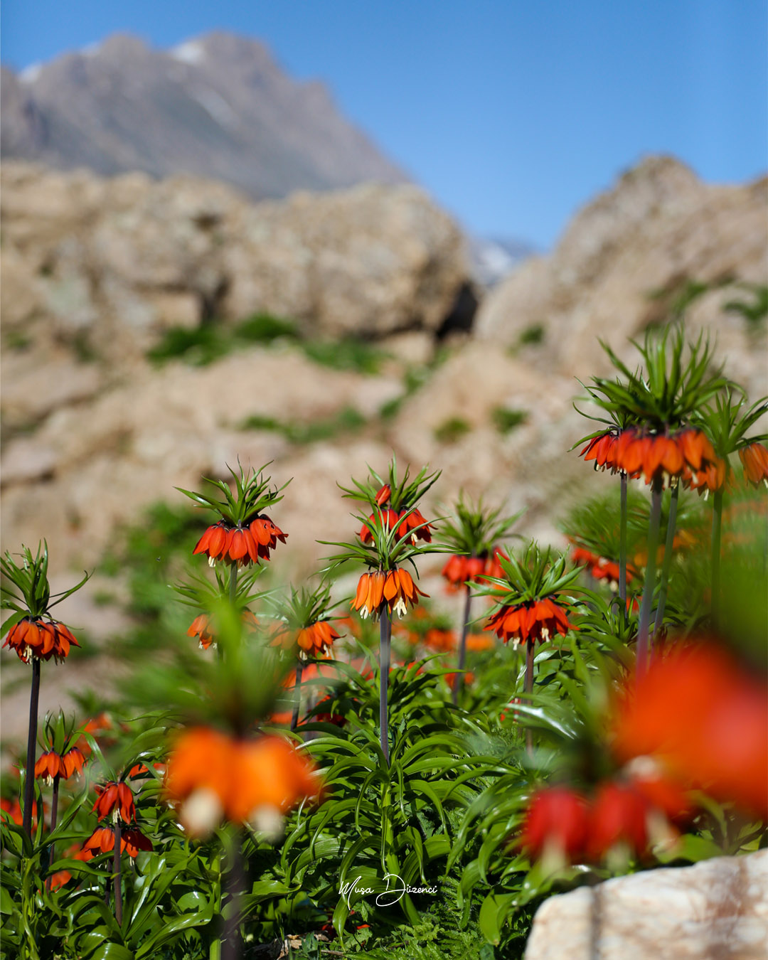 Boutique Hakkari Tour || Rota Doğu Turizm